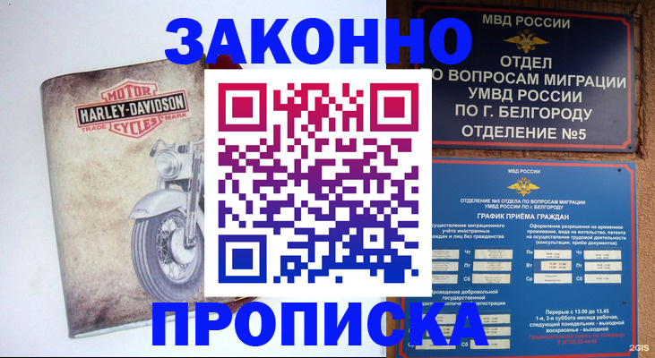 прописка для школы в Мончегорске